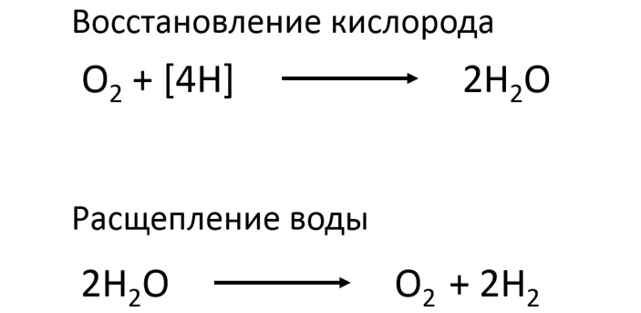 Рис. 4. Реакции, использованные авторами обсуждаемой статьи