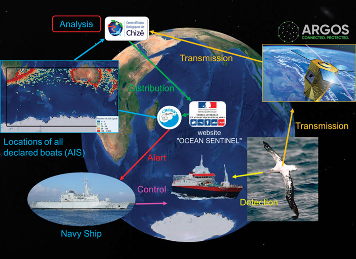 Рис. 2. Схема проекта «Стражи океана»