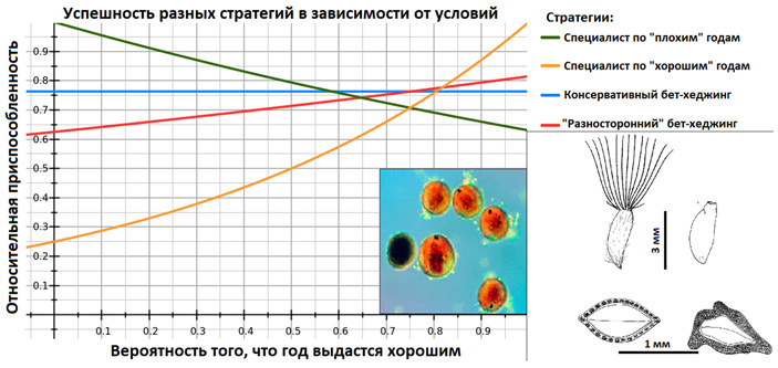 Рис. 2. Схема, иллюстрирующая успешность бет-хеджинга по сравнению со специализированными стратегиями