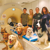 Четвероногие слушатели