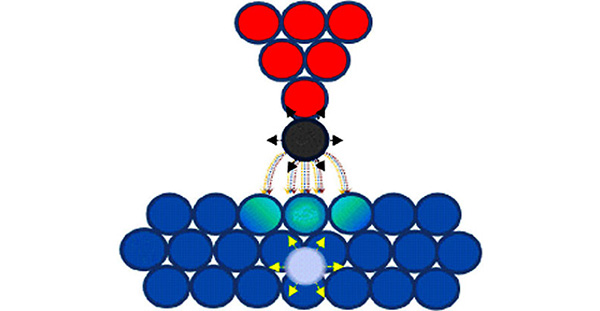 Рис. 2. Аномально сильный теплообмен между самым последним атомом на острие иглы сканирующего туннельного микроскопа и подложкой. Атом наводит на подложке заряд, который отслеживает тепловое дрожание атома и порождает фононы на подложке, отбирая при этом энергию у атома. Изображение из обсуждаемой статьи Phys.Rev.Lett.105, 166101