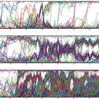 Ход молекулярной эволюции в 12 популяциях кишечной палочки