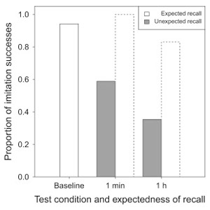 Рис. 2. Результаты эксперимента с собачками