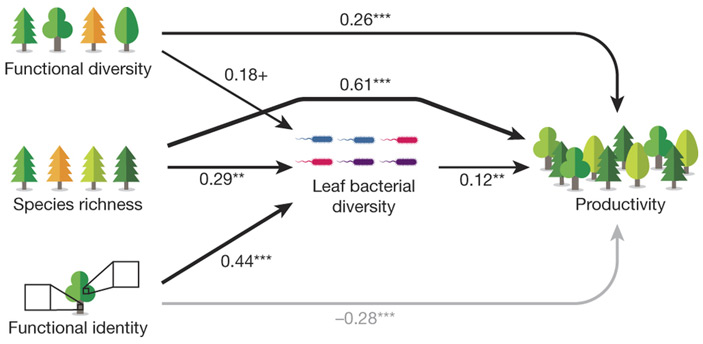 Рис. 2. Важнейшие взаимосвязи, выявленные в исследовании