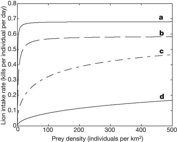 Интенсивность поедания львами антилоп гну в зависимости от плотности популяции жертв при групповом и одиночном образе жизни (модельные предсказания). По вертикальной оси: число антилоп, убиваемых одним львом в сутки; по горизонтальной оси: число антилоп на 1 кв. км. a — хищники и жертвы ведут одиночный образ жизни, b — хищники живут группами, c — жертвы живут группами, d — и хищники, и жертвы ведут групповой образ жизни. Кривая d лучше всего соответствует фактическим данным. Рис. из обсуждаемой статьи в Nature