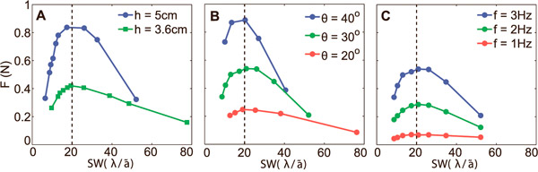 Рис. 3. Результаты прогона модели с плавником