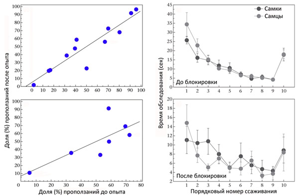 Рис. 3. Результаты тестов на доминирование и узнавание чужаков