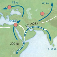 Предполагаемые пути миграций плейстоценовых Homo sapiens