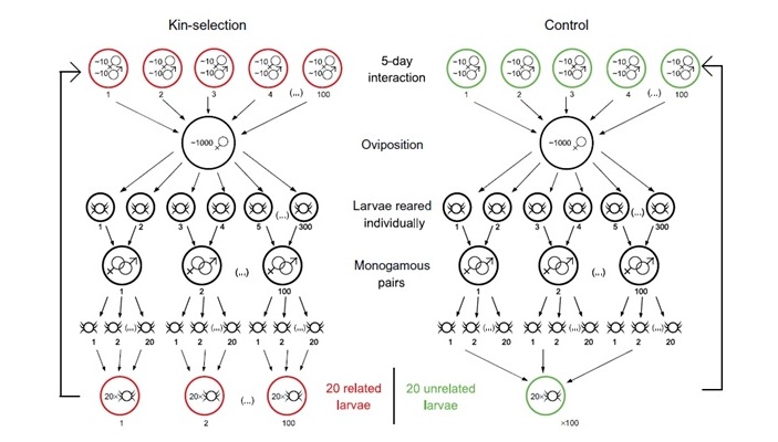Эксперимент