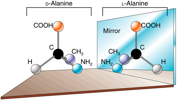 Энантиомеры аланина