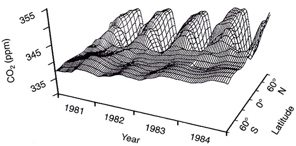 Рис. 2. Сезонные колебания содержания CO в атмосфере на разных широтах за 1981–84 гг. Из: Conway T.J., et al., 1988 // Tellus. V. 40, B. P. 81–115