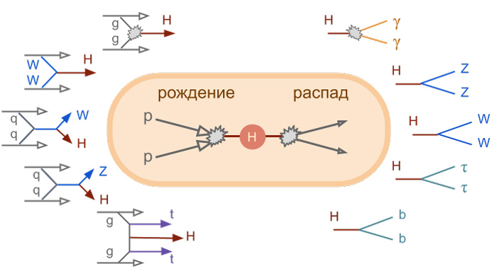 Рис. 4. Основные процессы рождения и распада стандартного бозона Хиггса