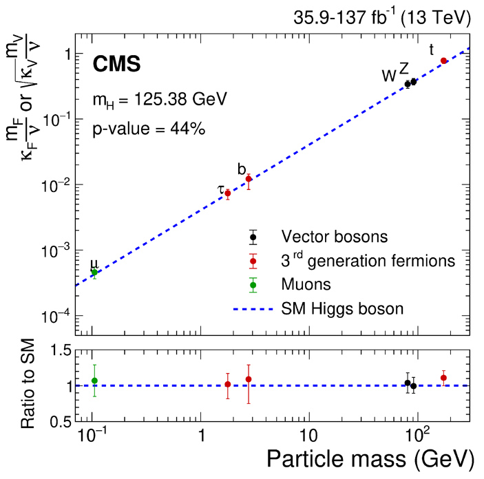 Рис. 6. Проверка пропорциональности связи бозона Хиггса с остальными частицами и масс этих частиц, предсказываемой Стандартной моделью