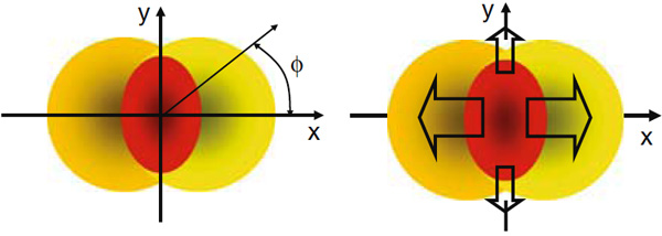 Рис. 2. При нецентральном столкновении ядер их проекции на поперечную к оси реакции плоскость (показаны желтым цветом) перекрываются неполностью. Область перекрытия (показана красным цветом) сплющена в плоскости реакции. Изображение из обзора «Hydrodynamics and flow» из сборника статей по свойствам кварк-глюонной плазмы