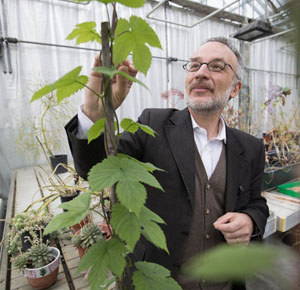 Стефано Манкузо (Stefano Mancuso) (изображение: leparisien.fr)