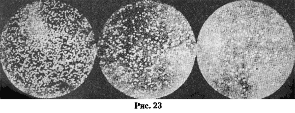 Броуновские частицы, видимые через микроскоп. (Фотография Ж. Перрена)