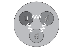 Рис. 1.2. Кварковая структура нейтрона