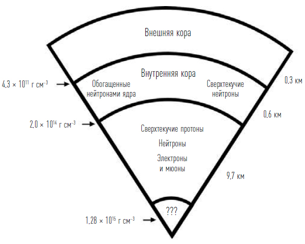 Внутреннее строение нейтронной звезды