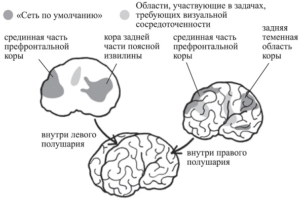 Мозг «на холостом ходу». Когда вы отключаетесь, в действие вступает «сеть по умолчанию»