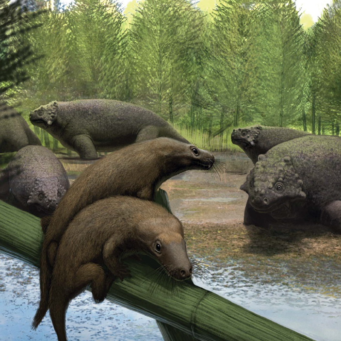 Два перплексизавра и стадо дельтавятий