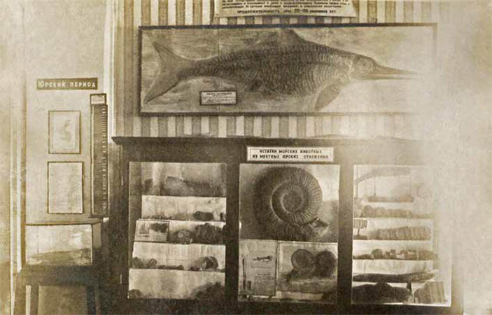 Скелет ихтиозавра