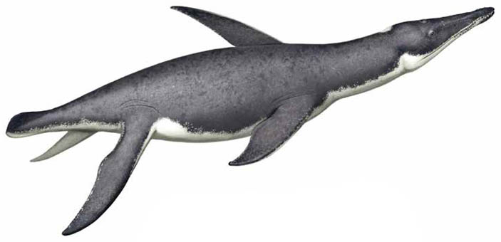 Иргизский плиозавр