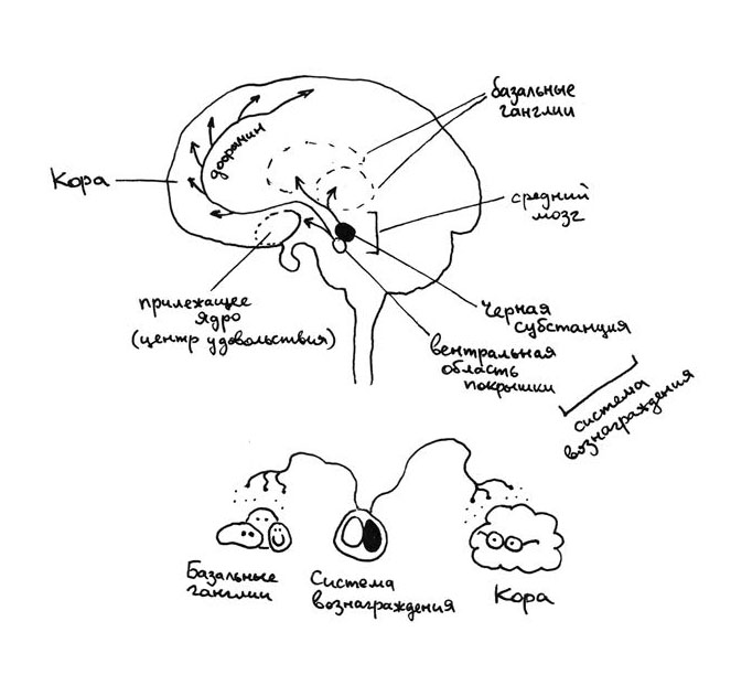 Николай Кукушкин. Хлопок одной ладонью