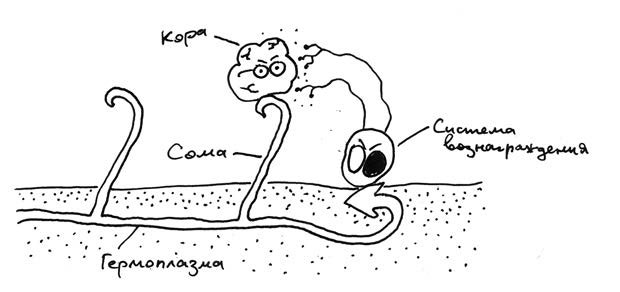 Николай Кукушкин. Хлопок одной ладонью