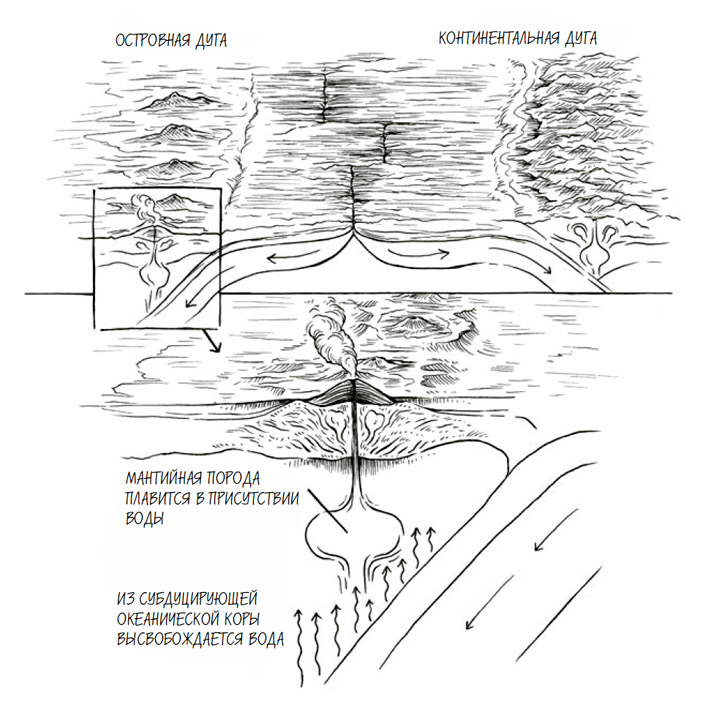 Маршия Бьорнеруд. осознание времени