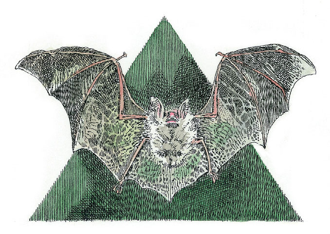 Штойернагель, Янссен. Детский университет