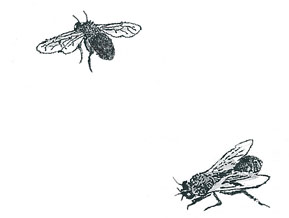 Штойернагель, Янссен. Детский университет