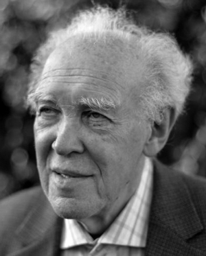 Сергей Парин. Стресс, боль и опиоиды