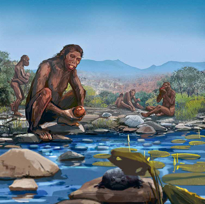 Борьба за обед