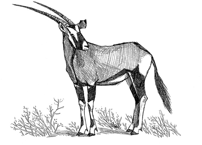 Борьба за обед