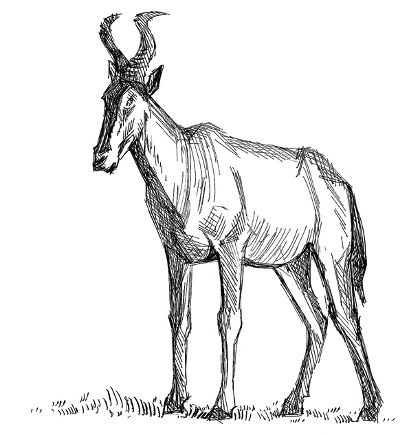 Борьба за обед