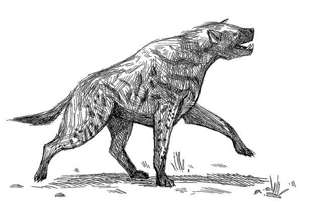 Борьба за обед