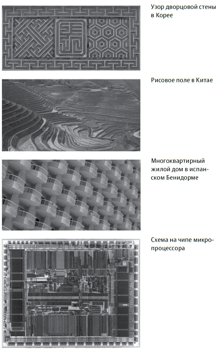 Закономерности в природе: самотканый ковер. Формы