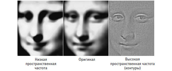 Рис. 5.2. Мы лучше всего распознаем объекты по их контурам. Мы можем легко узнать лицо по одним контурам (справа), но улыбка лучше распознается на размытом изображении (слева).\nИсточник: Из статьи Livingstone, M. S. (2000). Is it warm? Is it real? Or just low spatial frequency? Science, 290(5495), 1299.