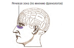 Как работает мозг