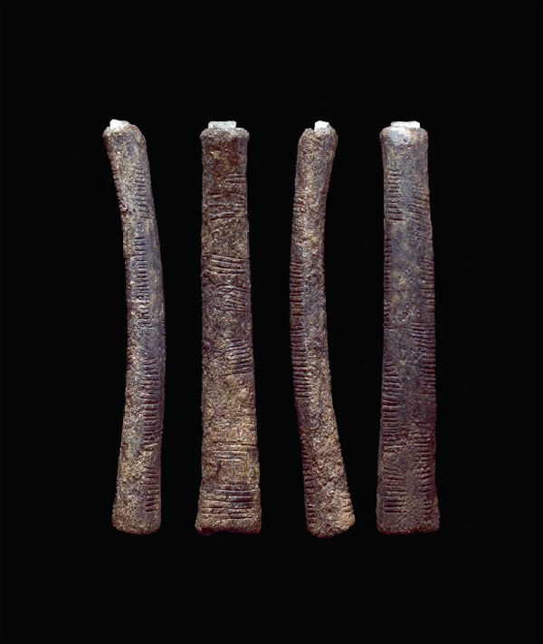 Кость павиана с нанесенными на нее рядами отметок из местности Ишанго сначала считалась обычной счетной рейкой, некогда использовавшейся африканцами каменного века. Однако, по мнению некоторых ученых, характер отметок предполагает, что математические способности ее владельца превосходили простые навыки счета объектов