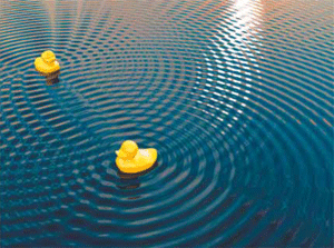 Интерференция в луже. Явление интерференции можно повседневно наблюдать в любых водоемах - от лужи до океана