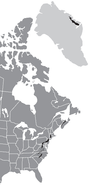 В поисках окаменелостей мы следовали вдоль «правильных» горных пород (выделены черным цветом). Успешные поиски в Коннектикуте и Новой Шотландии привели нас в Гренландию