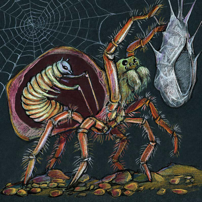 Иллюстрация в книге Алёны Васнецовой «Поразительные паразиты» (Биомолекула.ру)