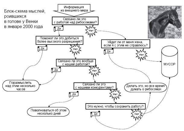 Блок-схема, иллюстрирующая шаблоны, которыми автор мыслил в 1999–2000 годах («Биомолекула»)