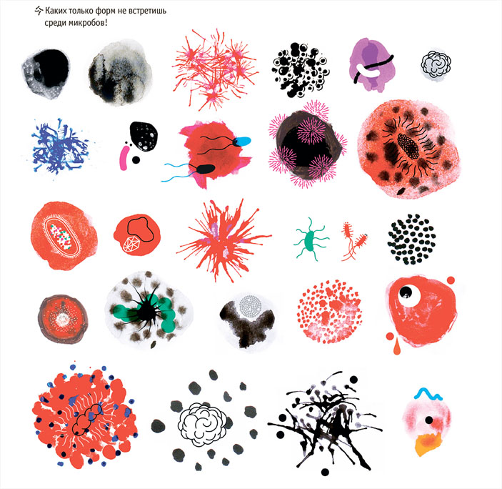 Иллюстрация из книги «Тайная война микробов» («Биомолекула»)