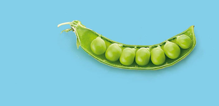 Горох («Горький»)