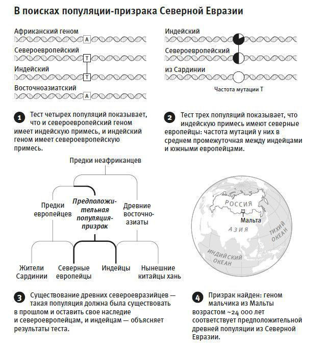 Рисунок из книги Дэвида Райха «Кто мы и как сюда попали» («Троицкий вариант» №25, 2020)