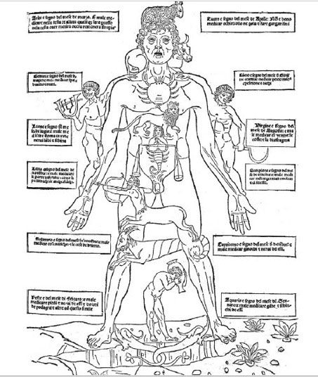 «Зодиакальный человек» из итальянского перевода книги «Основные сведения по медицине» («Горький»)