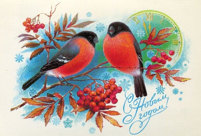 Пара снегирей на советской новогодней открытке