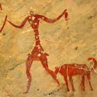 Что привело к появлению собак?